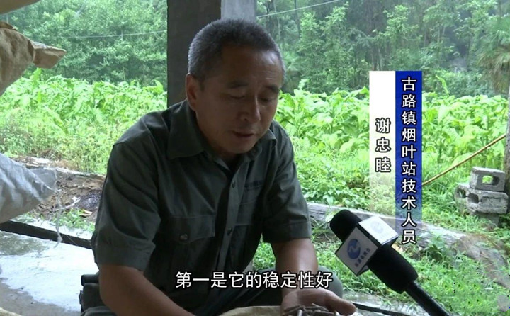 緊緊抓住木屑造粒機生物質顆粒燃料加工場地建設項目落地的契機，找準結合點，推動共和綜合服務型煙農專業合作社與生物質顆粒燃料加工廠的緊密合作.jpg