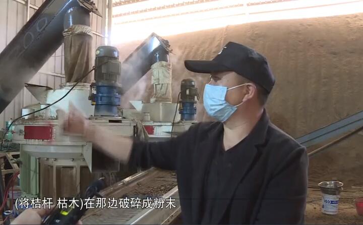 將桔桿、枯木在那邊破碎成粉末，然后經(jīng)過這兩個造粒機(jī)的碾壓，形成這種顆粒燃料出來，形成最后的產(chǎn)品.jpg